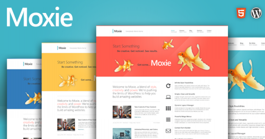 plantillas - 1 Banner Moxier WP 860x450