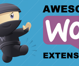 plugins - 590x300 awesome woocommerce extensions 270x225