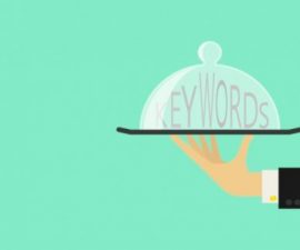 plugins - Affiliate Butler Pro By WPRuby 500x324 270x225