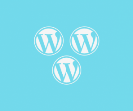 plugins - BNFW Multisite Add on 500x250 270x225