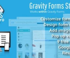 plugins - Gravity Forms Styles Pro Add on 500x254 270x225