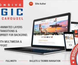 plugins - Magic Responsive 270x225