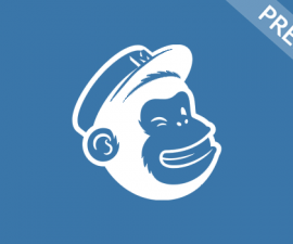 plugins - Mailchimp Premium Integration 270x225