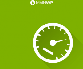 plugins - MainWP Page Speed Extension 400x400 270x225