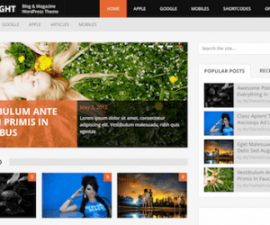 plantillas - MyThemeShop DayNight 500x250 270x225