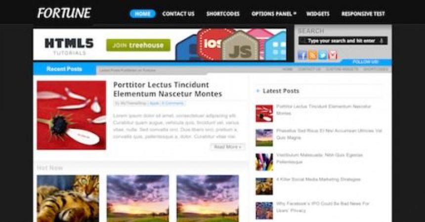 plantillas - MyThemeShop Fortune 1 500x250 860x450