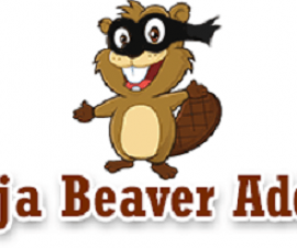 plugins - Ninja Beaver Pro Addons For Beaver Builder 270x225