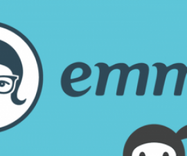 plugins - Ninja Forms Emma 500x203 270x225