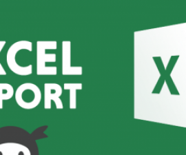plugins - Ninja Forms Excel Export 500x203 270x225