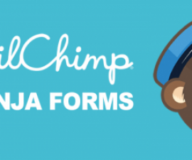 plugins - Ninja Forms Mail Chimp 500x203 270x225