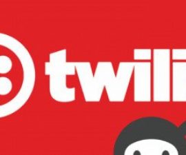 plugins - Ninja Forms Twilio SMS 500x203 270x225