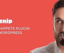 plugins - Rich Snippets 270x225