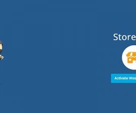 plugins - Storefront Social 270x225