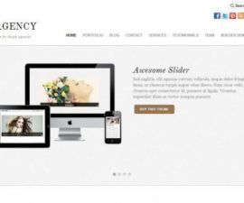 plantillas - Themify Agency e1479143991886 270x225