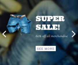 plugins - Themify Builder Slider Pro 400x400 270x225