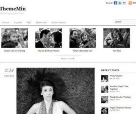 plantillas - Themify ThemeMin 500x342 270x225