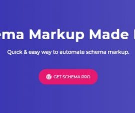 plugins - WP Schema Pro by Brainstorm Force 270x225