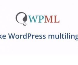 plugins - WPML Multilingual CMS 500x256 10 270x225