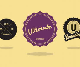 plugins - WPMU DEV Ultimate Branding 500x320 270x225