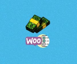 plugins - WooCommerce Custom Payment Gateway Pro 500x349 270x225
