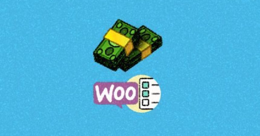 plugins - WooCommerce Custom Payment Gateway Pro 500x349 860x450