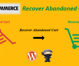 plugins - WooCommerce Recover Abandoned Cart 270x225
