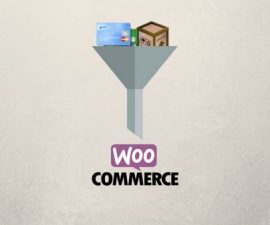 plugins - WooCommerce Restricted Shipping and Payment Pro By WPRuby 500x337 270x225