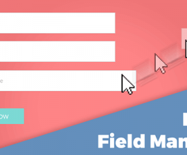 plugins - addons form field manager 270x225