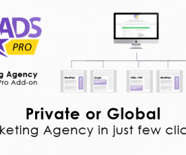 plugins - ads pro addon wordpress marketing agency 270x225