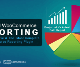 plugins - advanced woocommerce reporting 270x225