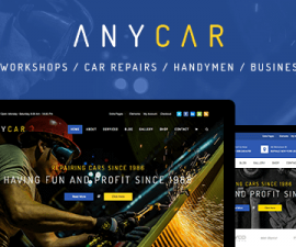 plantillas - anycar 270x225