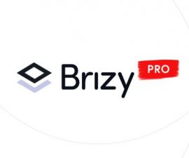 plugins - brizy pro 270x225