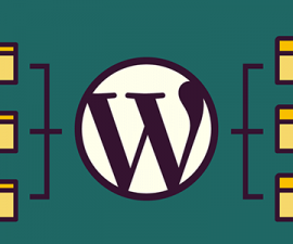 plugins - domain mapping 270x225