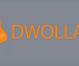 plugins - dwolla banner 270x225