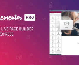plugins - elementor pro 270x225