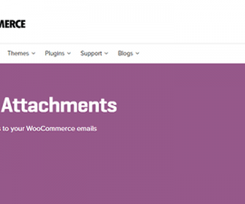 plugins - email attachments 270x225