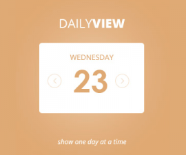plugins - eventon dailyview 270x225