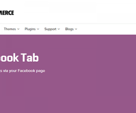 plugins - facebook tab 270x225