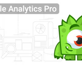 plugins - google analytics pro 270x225