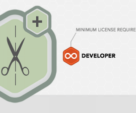 plugins - gravityforms coupon 270x225