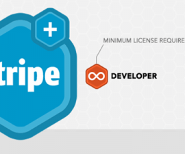 plugins - gravityforms stripe 270x225