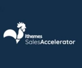 plugins - iThemes Sales Accelerator PRO 500x279 270x225