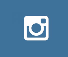 plugins - instagram 270x225