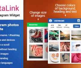 plugins - instagram widget wordpress 270x225