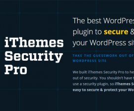 plugins - ithemes security 270x225