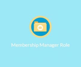 plugins - manager role 270x225