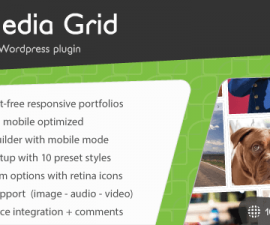 plugins - media grid 2 270x225