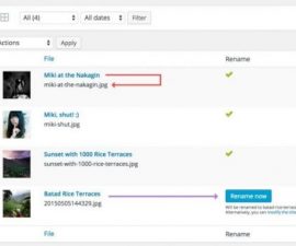 plugins - meow apps Media File Renamer 500x355 270x225