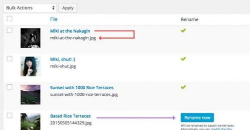 plugins - meow apps Media File Renamer 500x355 860x450