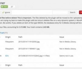 plugins - meow apps media cleaner 1 500x268 270x225